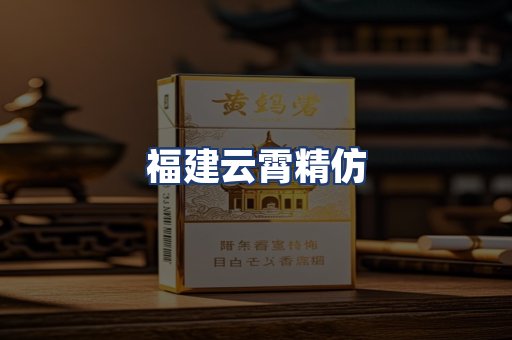 福建云霄精仿